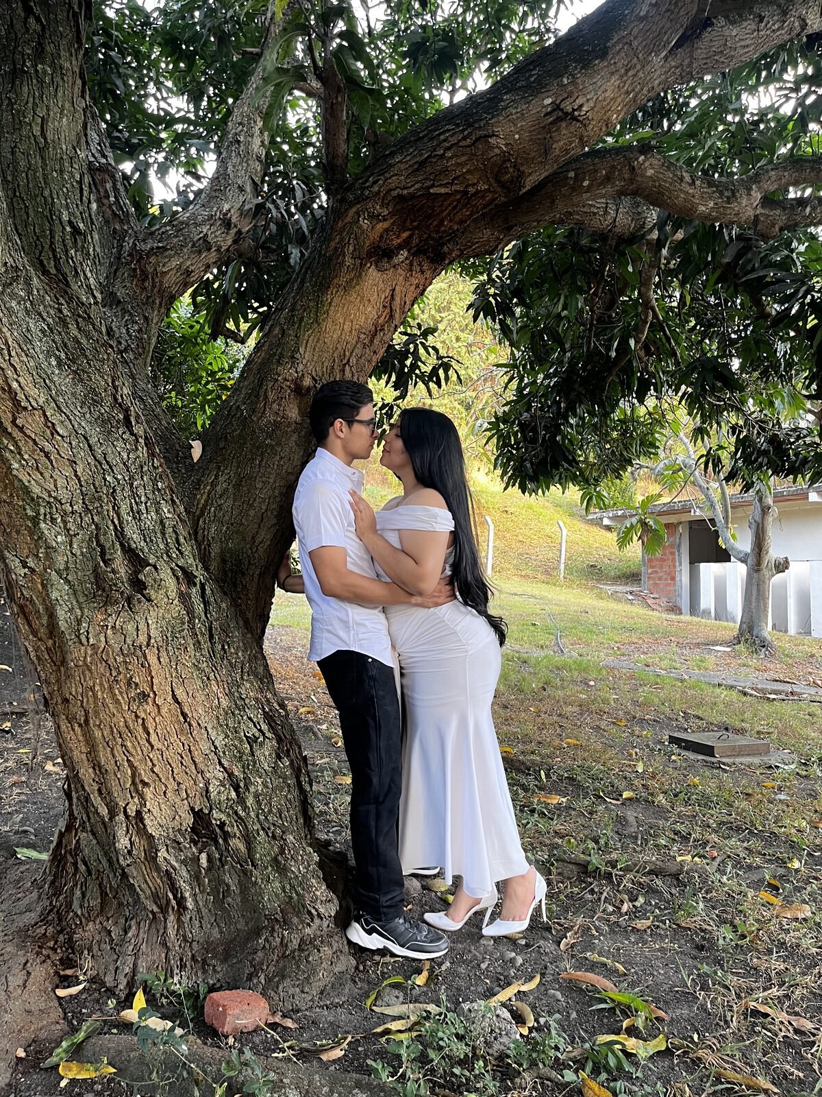Luisa y Santiago bajo un árbol