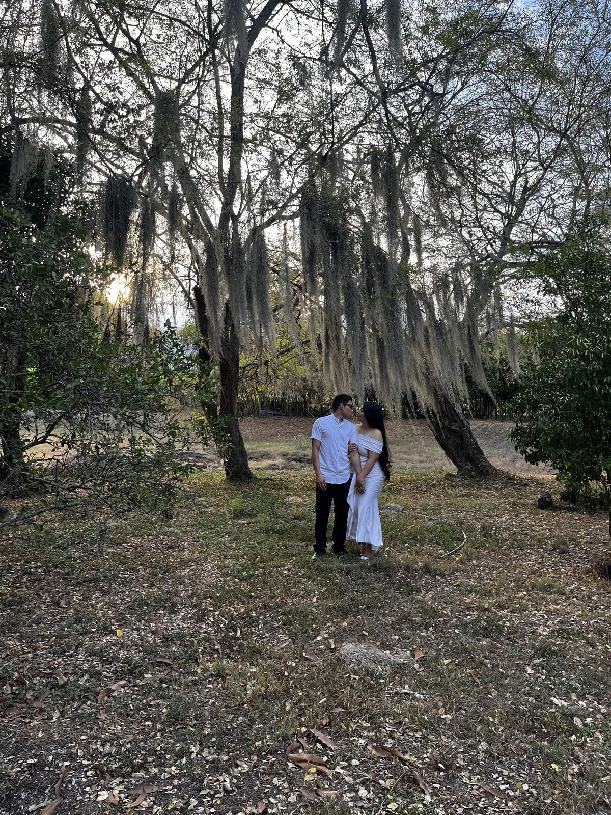Luisa y Santiago bajo los árboles al atardecer